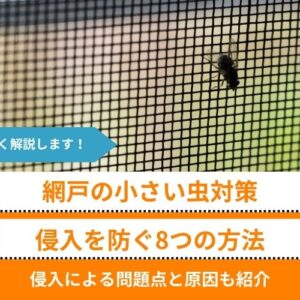 【網戸から小さい虫が入らないように】8つの対策│虫の侵入による問題点と原因も紹介